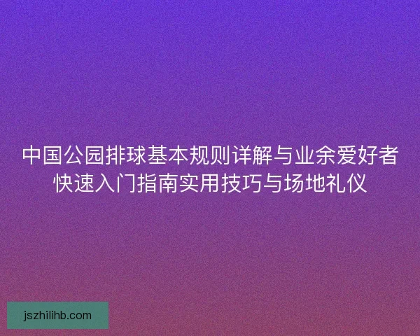中国公园排球基本规则详解与业余爱好者快速入门指南实用技巧与场地礼仪